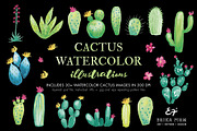 Watercolor Cactus Illustrations