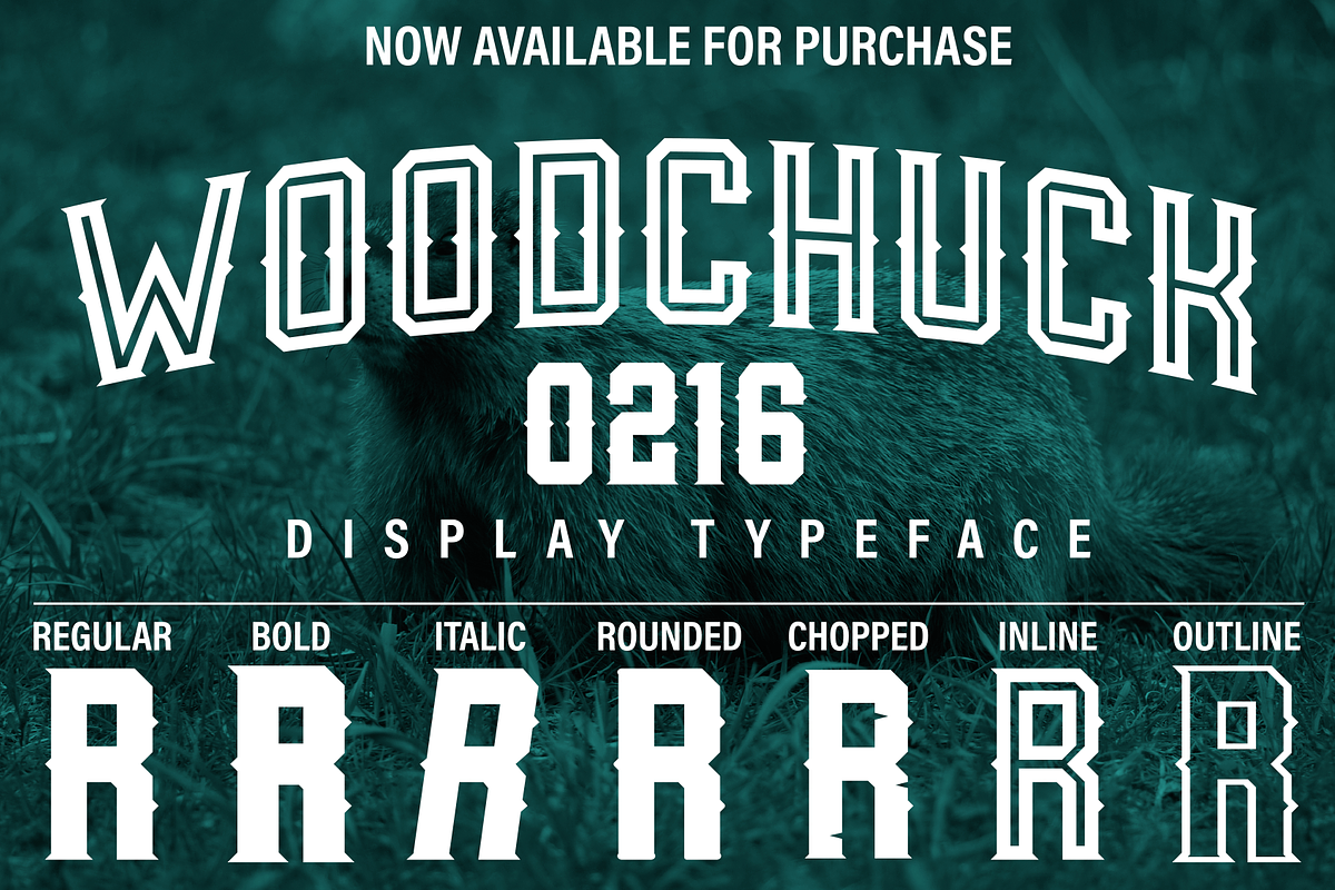 Woodchuck 0216 Display Typeface in Display Fonts - product preview 8