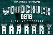 Woodchuck 0216 Display Typeface