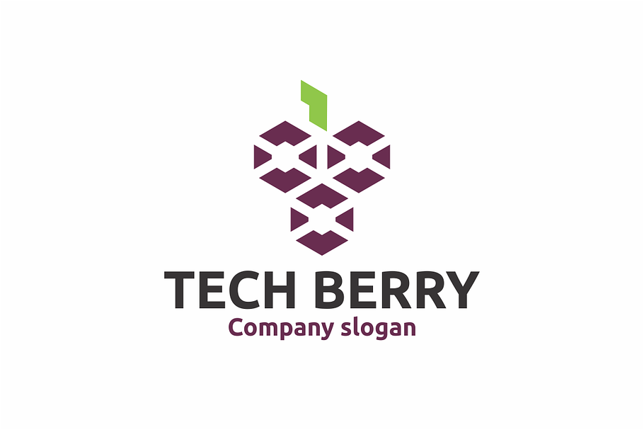 Tech Berry