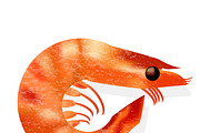 shrimp isolated realistic vector