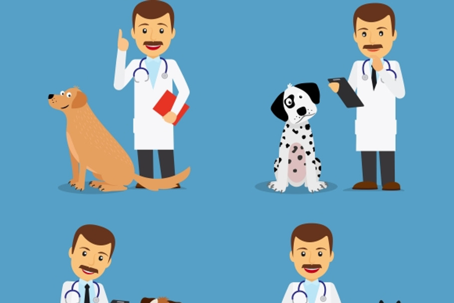Veterinarian doctor with dogs