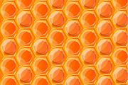 Bright tasty honey honeycombs
