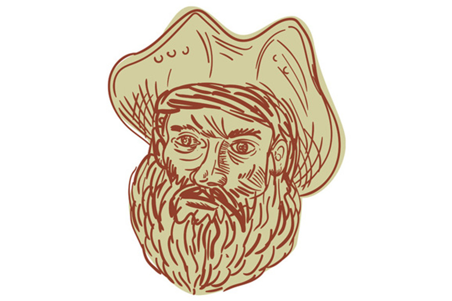 Pirate Head Beard Drawing in Illustrations - product preview 8