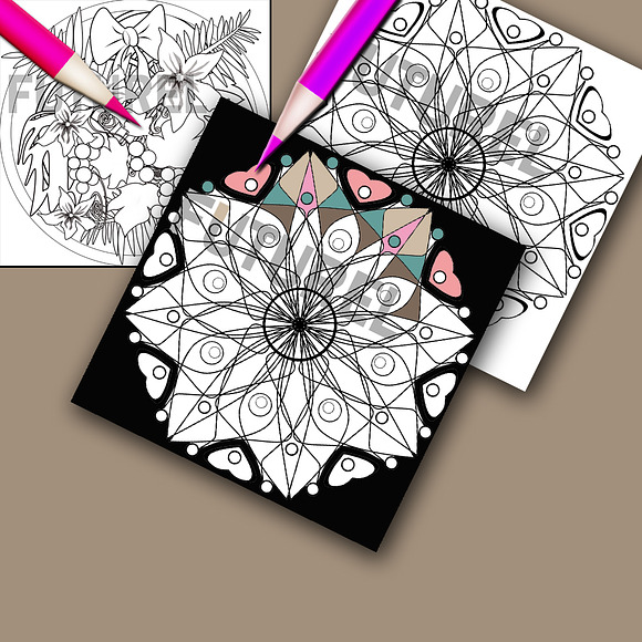 Coloring Page, Adult Coloring Page in Illustrations - product preview 7