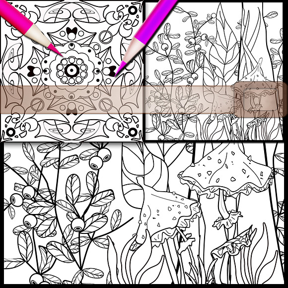 Coloring Page, Adult Coloring Page in Illustrations - product preview 8