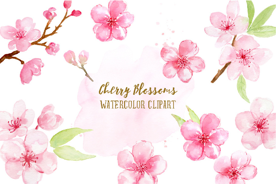 Watercolor Cherry Blossoms in Illustrations - product preview 8