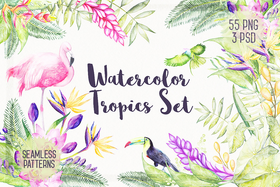 Watercolor Tropical Plants 30 % OFF in Illustrations - product preview 8