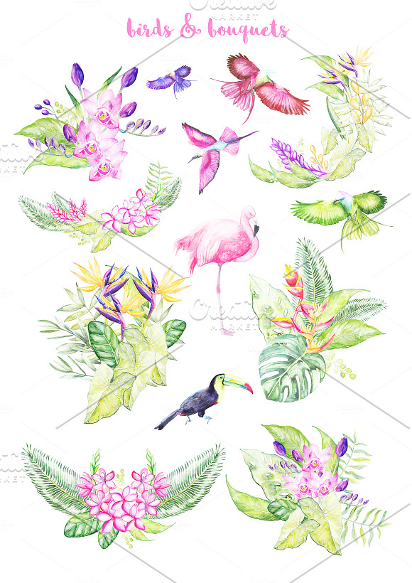 Watercolor Tropical Plants 30 % OFF in Illustrations - product preview 3