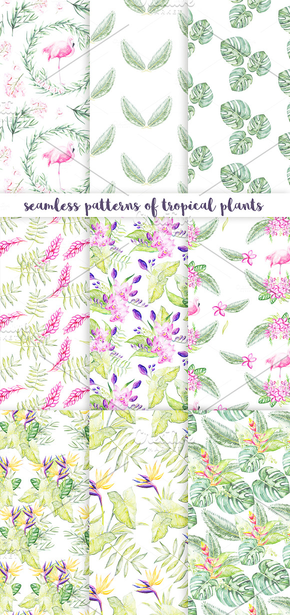 Watercolor Tropical Plants 30 % OFF in Illustrations - product preview 5