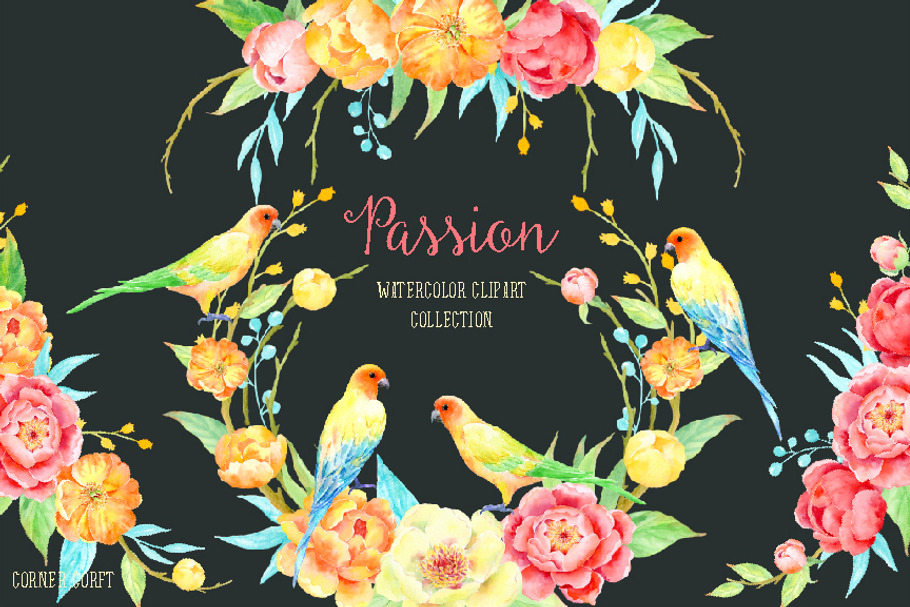 Watercolor Clipart Passion Peonies
