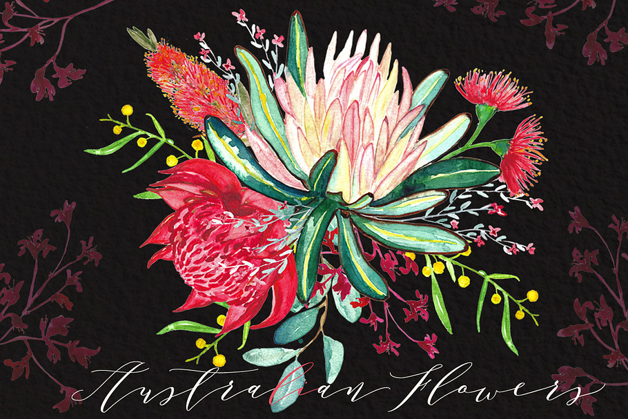 Australian flowers watercolor in Illustrations - product preview 8