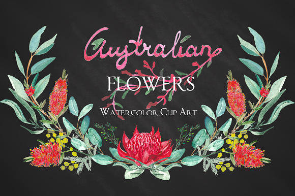 Australian flowers watercolor in Illustrations - product preview 3
