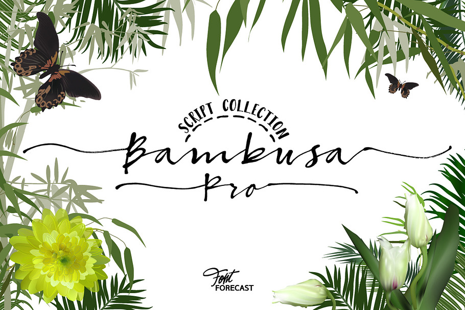 50% OFF Bambusa Pro in Script Fonts - product preview 8