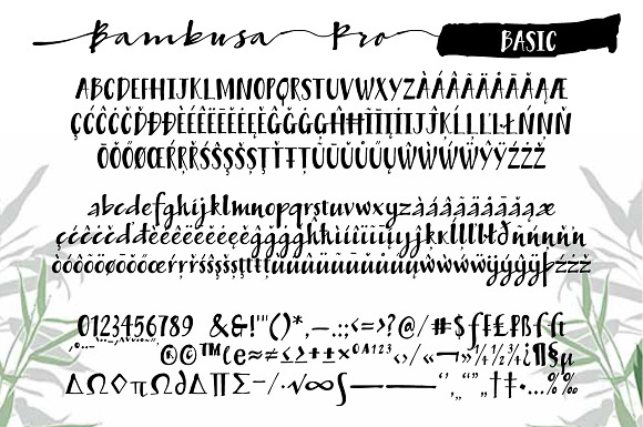 50% OFF Bambusa Pro in Script Fonts - product preview 9