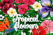 Tropical Flora, Vector