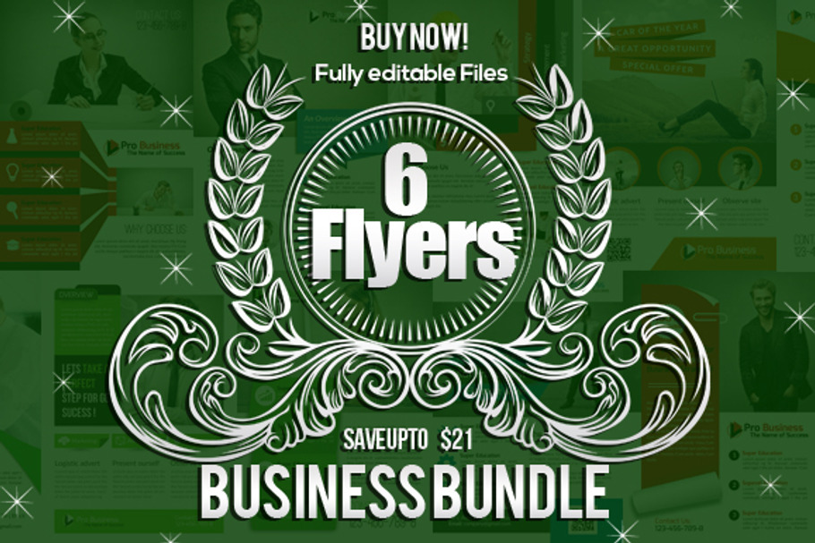 6 Business Field Flyers Bubdle