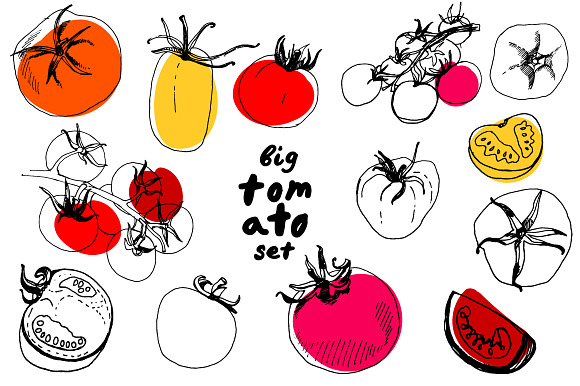 Sketched tomatoes in Illustrations - product preview 3