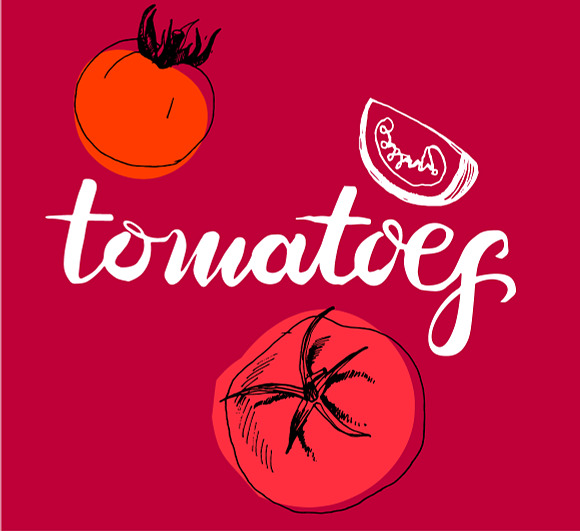 Sketched tomatoes in Illustrations - product preview 5