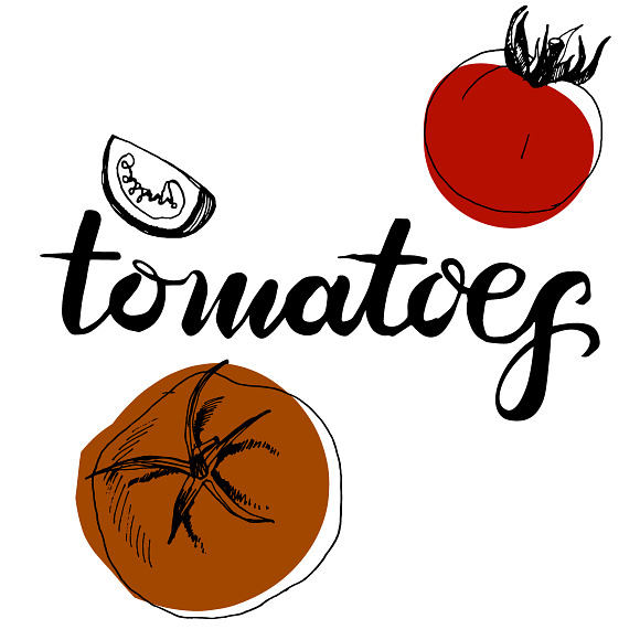 Sketched tomatoes in Illustrations - product preview 6