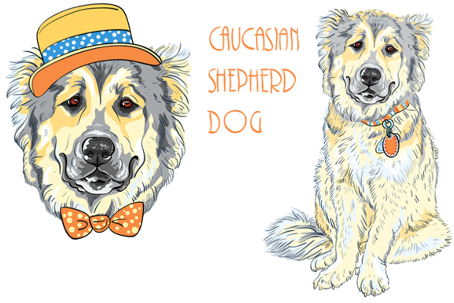 Caucasian Shepherd Dog SET in Illustrations - product preview 8