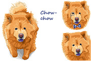 Dog chow-chow SET