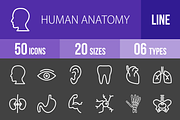 50 Human Anatomy Line Inverted Icons