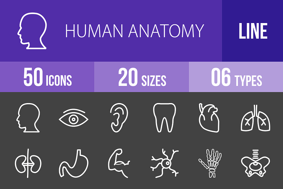 50 Human Anatomy Line Inverted Icons in Graphics - product preview 8