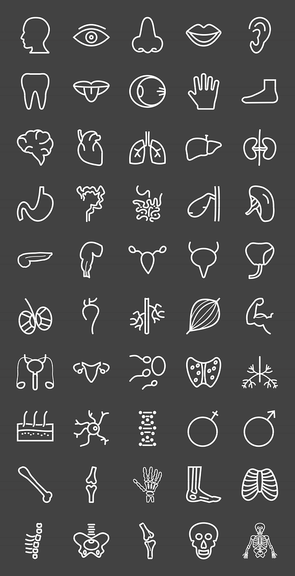 50 Human Anatomy Line Inverted Icons in Graphics - product preview 1