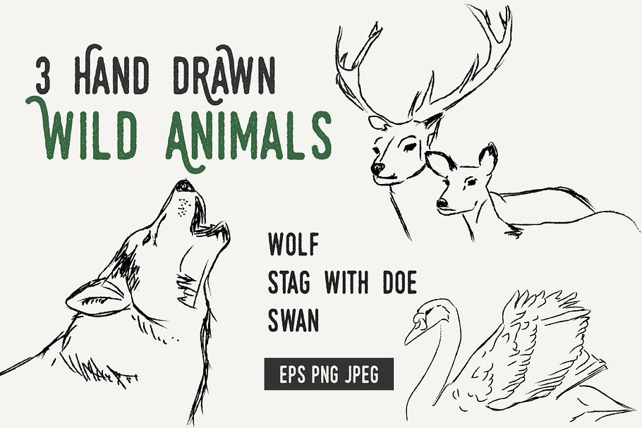 Hand drawn WOLF SWAN STAG DOE in Illustrations - product preview 8