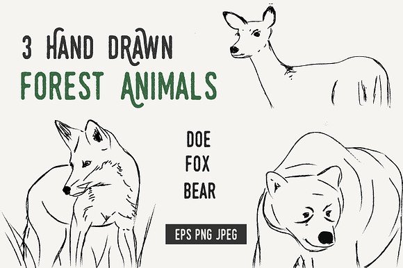 25% off BUNDLE wild animals + plants in Illustrations - product preview 1