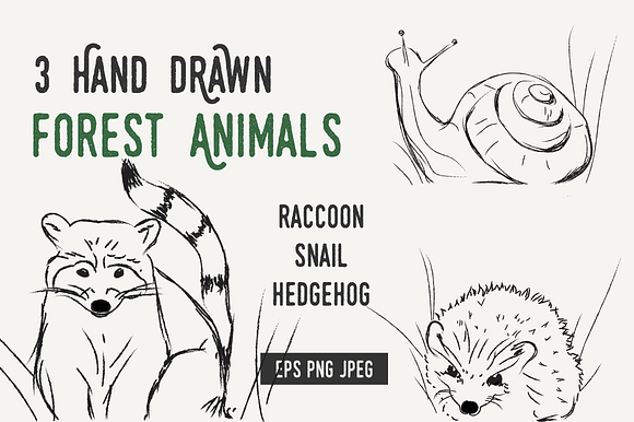 25% off BUNDLE wild animals + plants in Illustrations - product preview 2