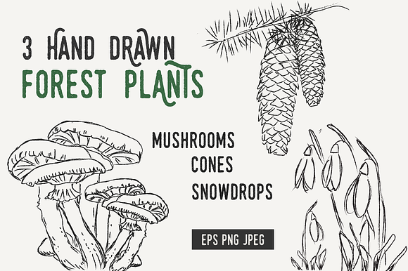 25% off BUNDLE wild animals + plants in Illustrations - product preview 3