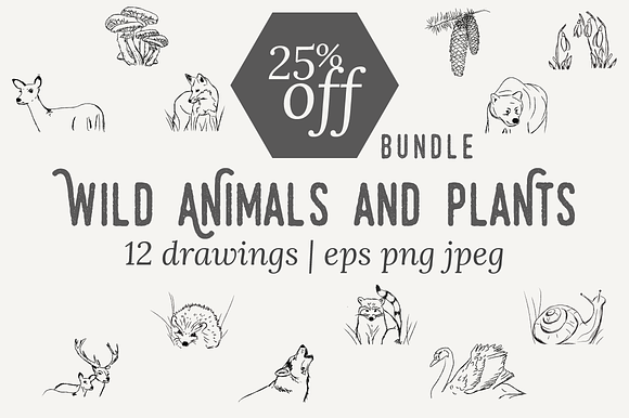 25% off BUNDLE wild animals + plants in Illustrations - product preview 4