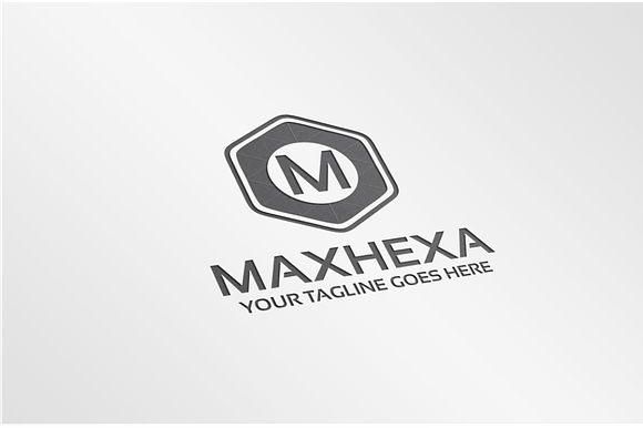 Max Hexa – Logo Template in Logo Templates - product preview 1