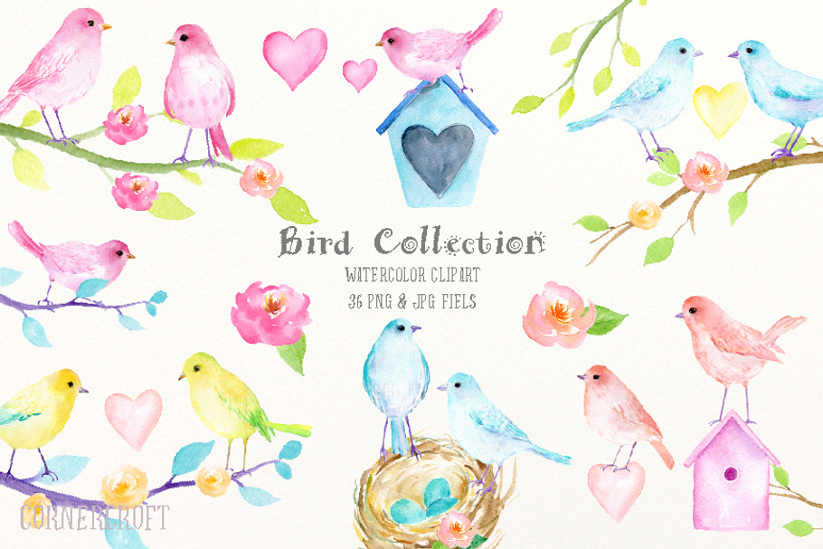 Watercolor Birds Pastel Color in Illustrations - product preview 8