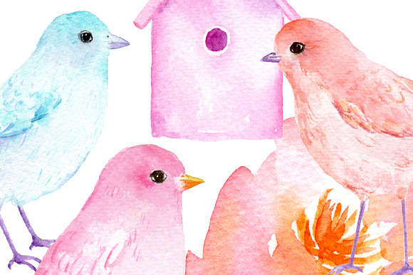 Watercolor Birds Pastel Color in Illustrations - product preview 3