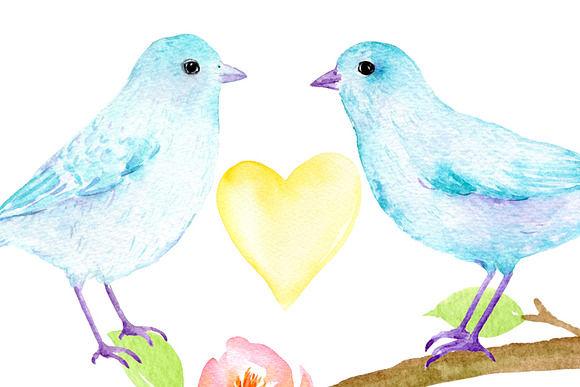 Watercolor Birds Pastel Color in Illustrations - product preview 4