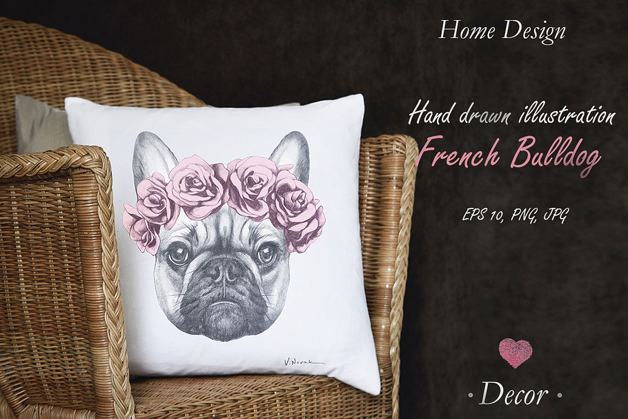 French Buldog / Decor in Illustrations - product preview 8