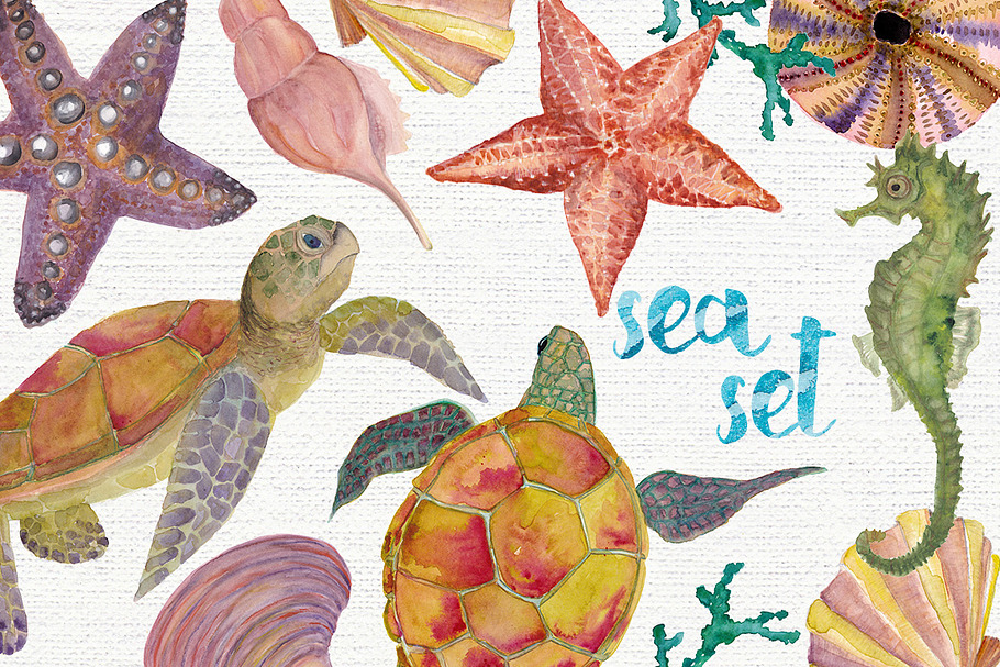 Watercolor sea set in Illustrations - product preview 8