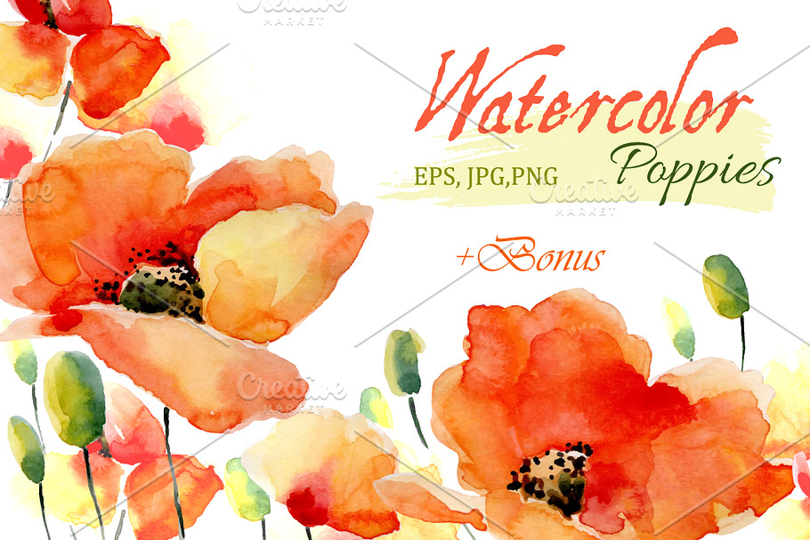 Watercolor Poppies.Flowers set+Bonus