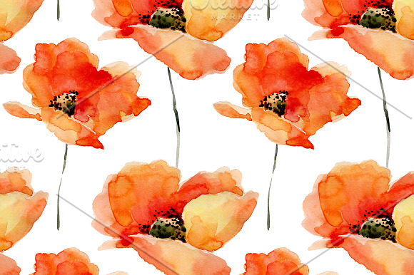 Watercolor Poppies.Flowers set+Bonus in Graphics - product preview 2