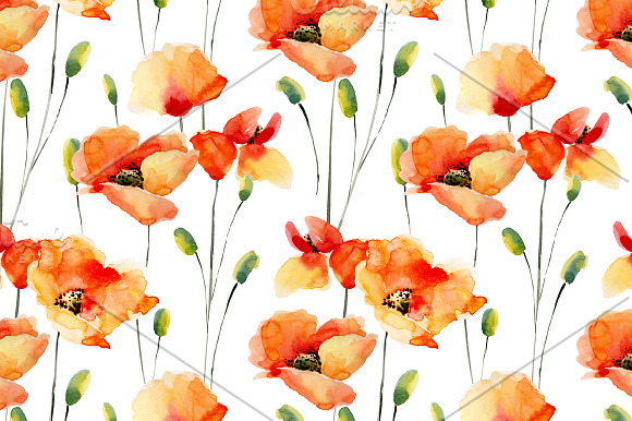 Watercolor Poppies.Flowers set+Bonus in Graphics - product preview 3