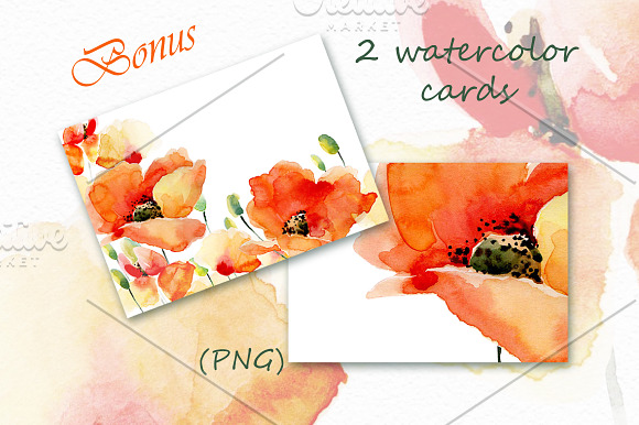 Watercolor Poppies.Flowers set+Bonus in Graphics - product preview 7