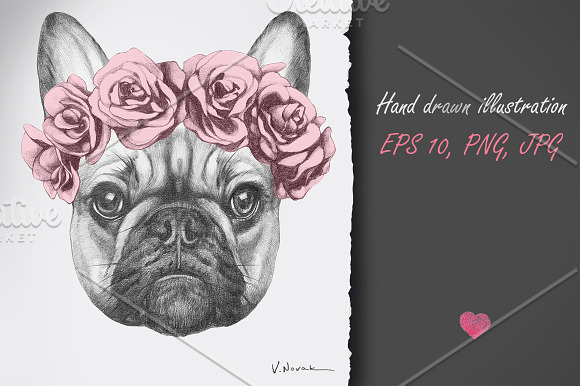 French Buldog / Decor in Illustrations - product preview 2
