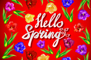 Hello Spring lettering vector 