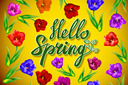 Hello Spring Poster Design