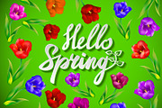 Hello Spring Vector Design