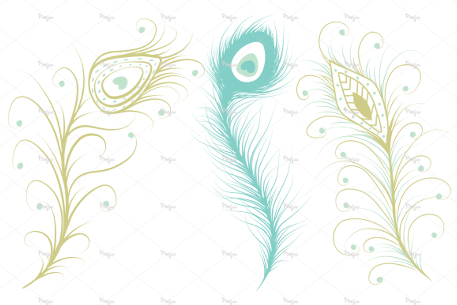 8 Peacock Feathers in EPS and PNG