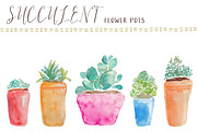 Watercolor Succulents Flower Pots